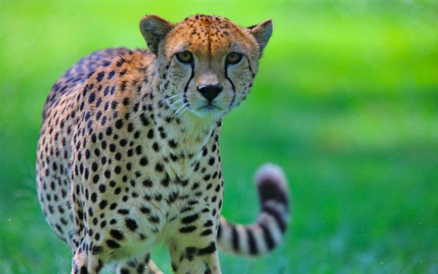 africa-e-oceano-indiano (10).jpg